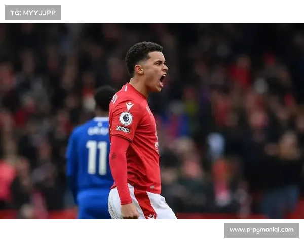 布伦特福德与富勒姆,一场耐力与智慧的较量